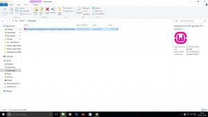 This is the screenshot of the WampServer installation file downloaded from the wampserver official website on windows 10.