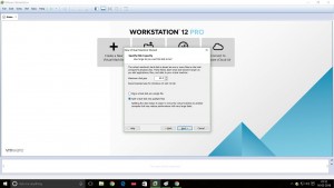 Screenshot of VMware Workstation 12 windows 10 installation specify disk capacity dialog box