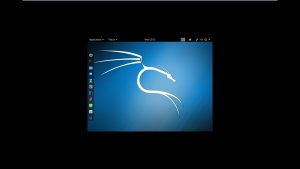 Kali Linux desktop VMware no full screen - Resolution 800x600