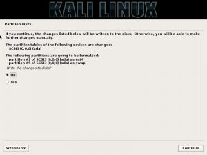 Kali linux installation - Disk partition confirmation dialog box screenshot