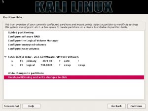 Kali linux installation - Disk partition overview dialog box screenshot