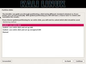 Kali Linux installation - Partition disk dialog box screenshot