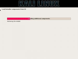 Kali Linux installation progress screenshot