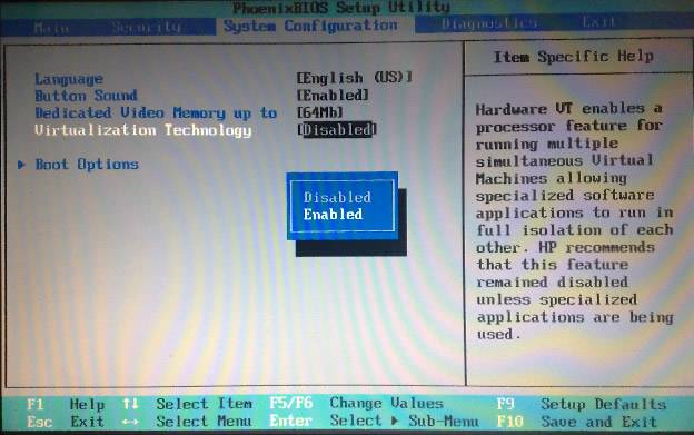 BIOS Virtualization Technology. Phoenix BIOS виртуализация. Phoenix BIOS включить виртуализацию. Виртуализация Lenovo Setup Utility.