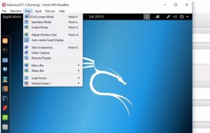VirtualBox - Kali Linux Auto resize guest display