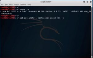 Kali Linux terminal - Install Virtualbox Guest command screenshot