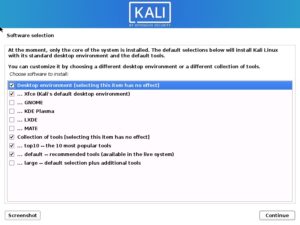 Kali Linux 2020 installation - Software selection