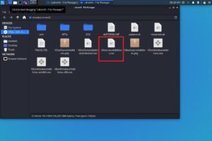 VirtualBox Guest Editions folder and files