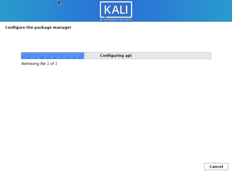 Kali Linux Installation