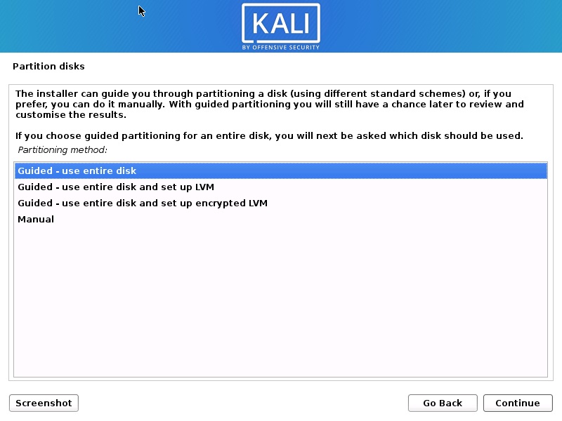 Install Kali Linux 2020 - Partition Disk Screenshot