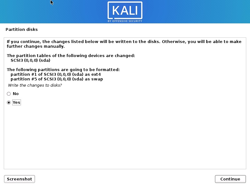 Install Kali Linux 2020 - Disk Partition Confirmation Screenshot