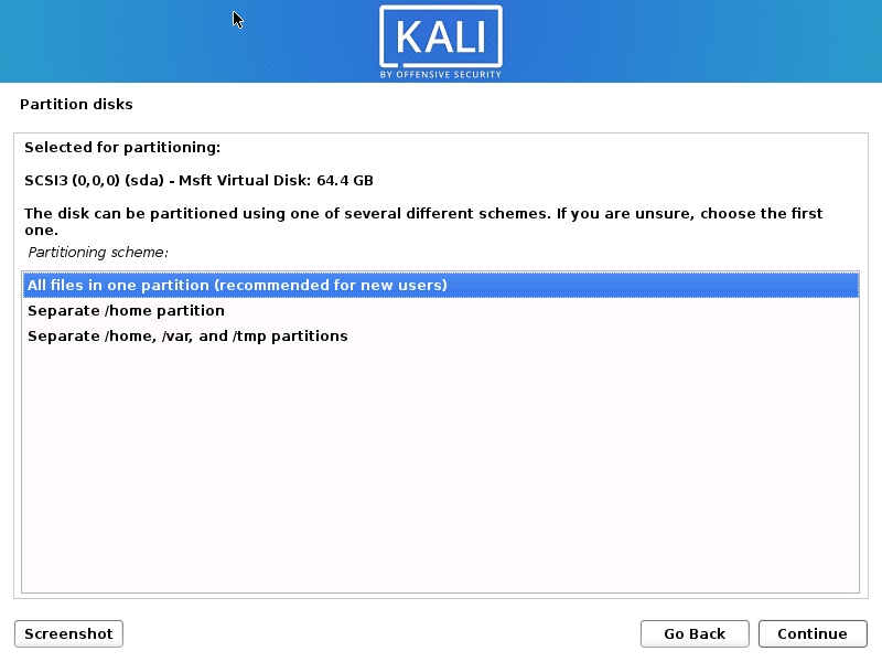 Install Kali Linux 2020 - Disk Partitioning Scheme Screenshot