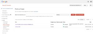 Google Webmasters Tool - Fetch page as Google