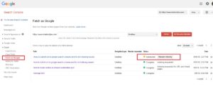 Google Webmasters Tool - Fetch page as Google