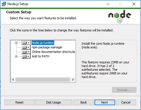 NodeJS Installation - Custom setup window screenshot