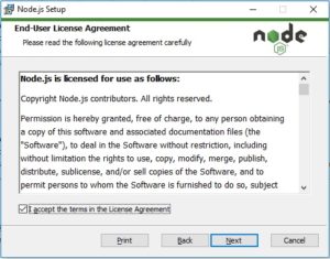 NodeJS installation - End user agreement screenshot