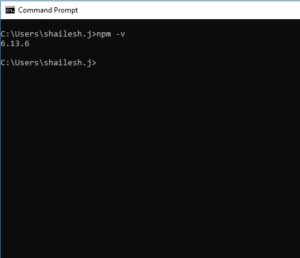 NPM version in windows command line terminal