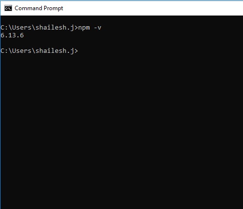 NPM version in windows command line terminal