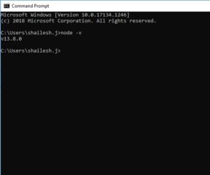 Nodejs - check version from command line