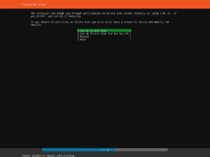 Ubuntu Server Installation - File System Setup