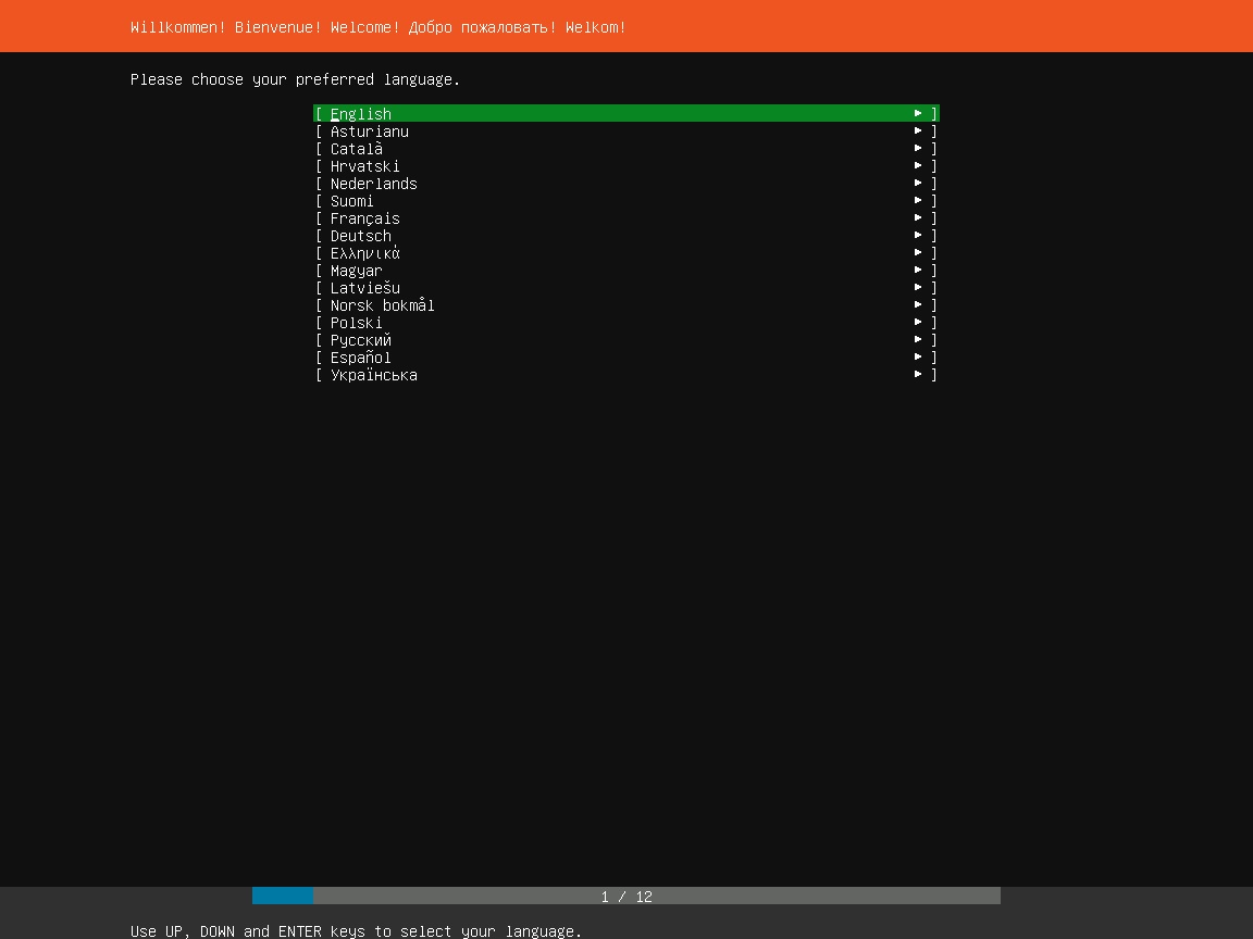 Ubuntu Server Installation - Language Selection