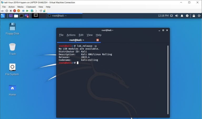 vmware vs virtualbox kali